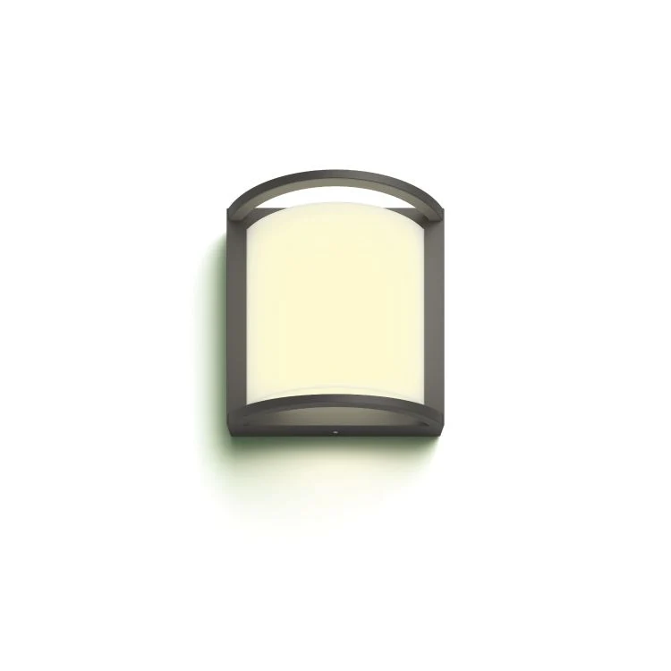 Miniatuur 2
