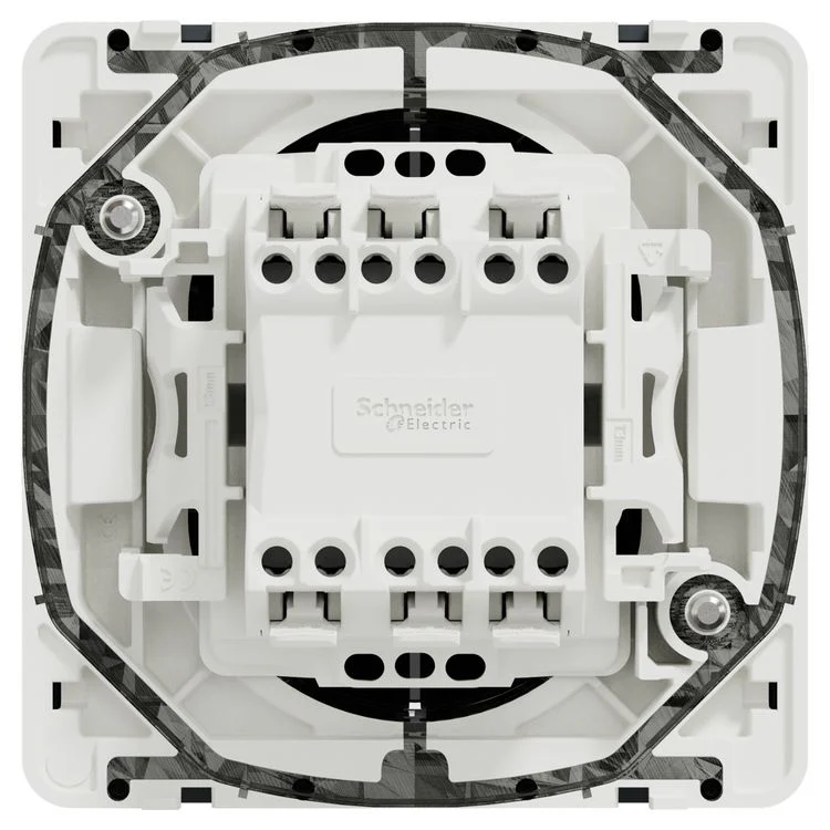 Miniatuur 2